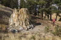 500 dead fish discovered in Lake Loveland, experts say low water levels to blame