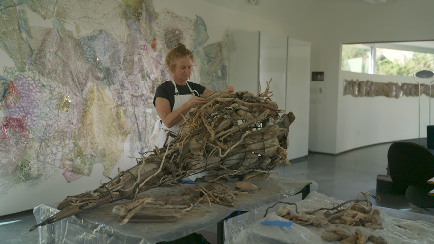 Rebecca DiDomenico.png