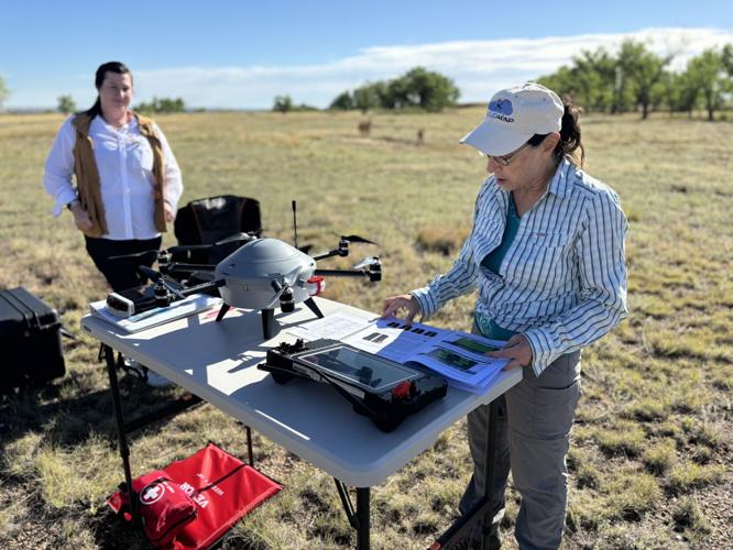 Intrieri at Table Mountain