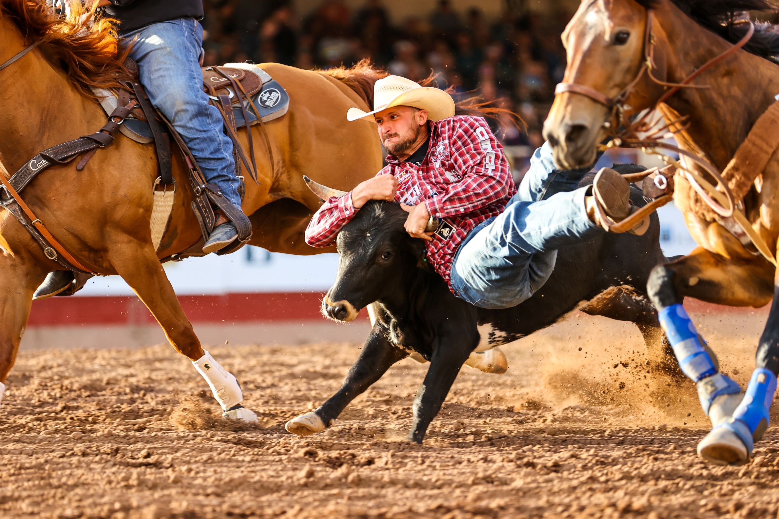 Photo by Brian Gauck courtesy of the NFR Open at the Pikes Peak or Bust Rodeo (Photography © Brian Gauck)