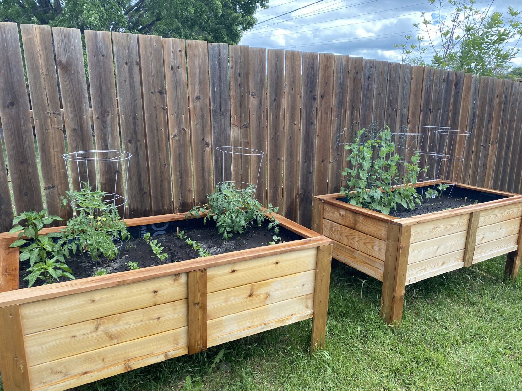 Year-round gardening: 10 things for your gardening checklist during May in Colorado