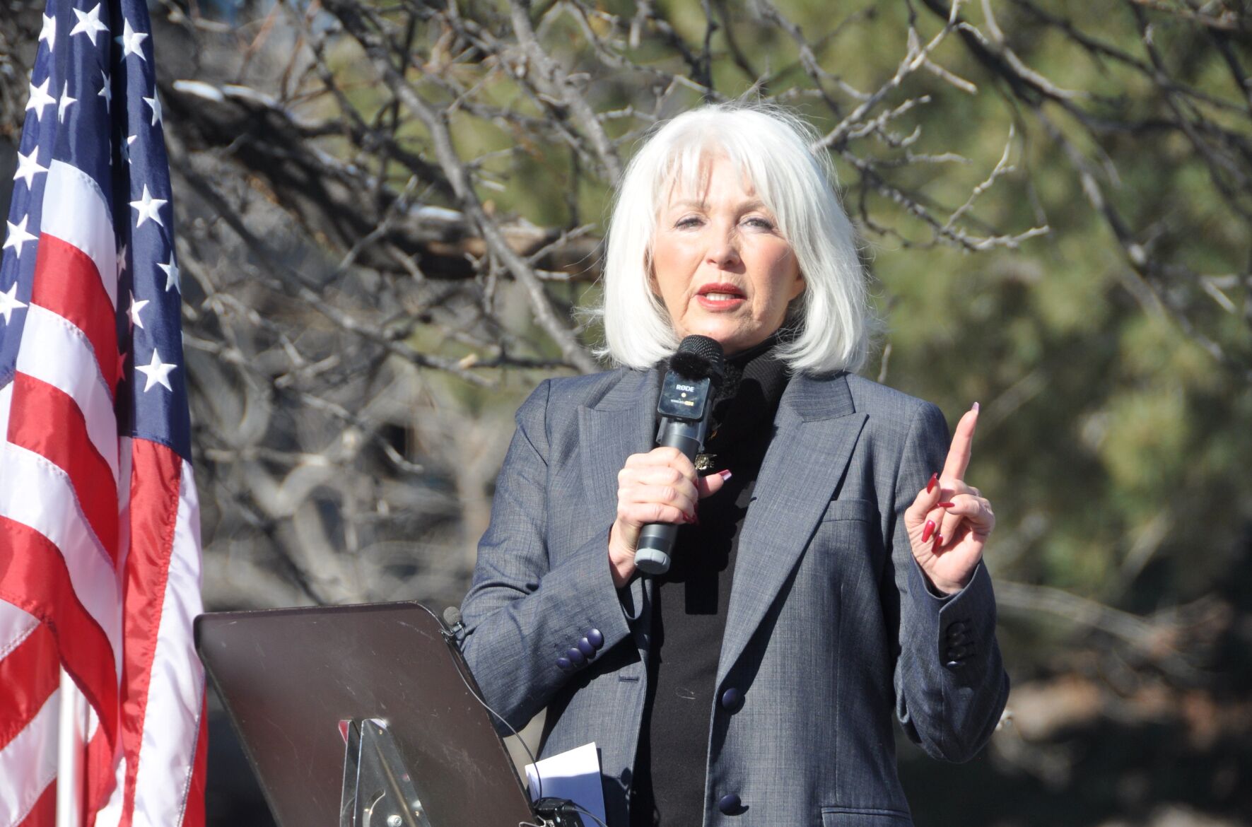 Federal judge IDs flaw with Tina Peters’ request for release