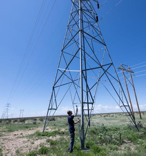 060825-news-bats 5.jpg