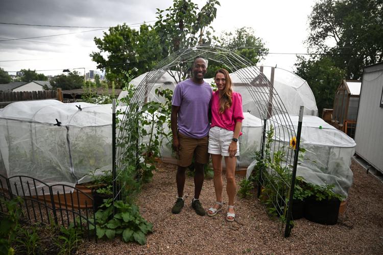 Homesteaders 2