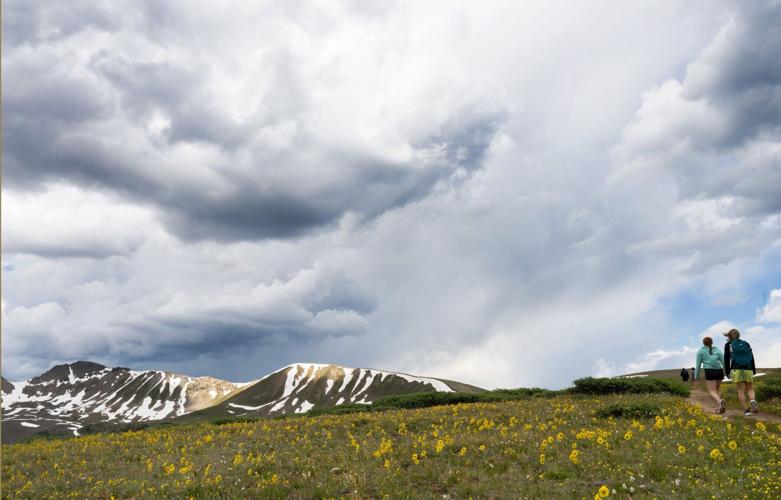 070725-ot-wildflowers 4.jpg