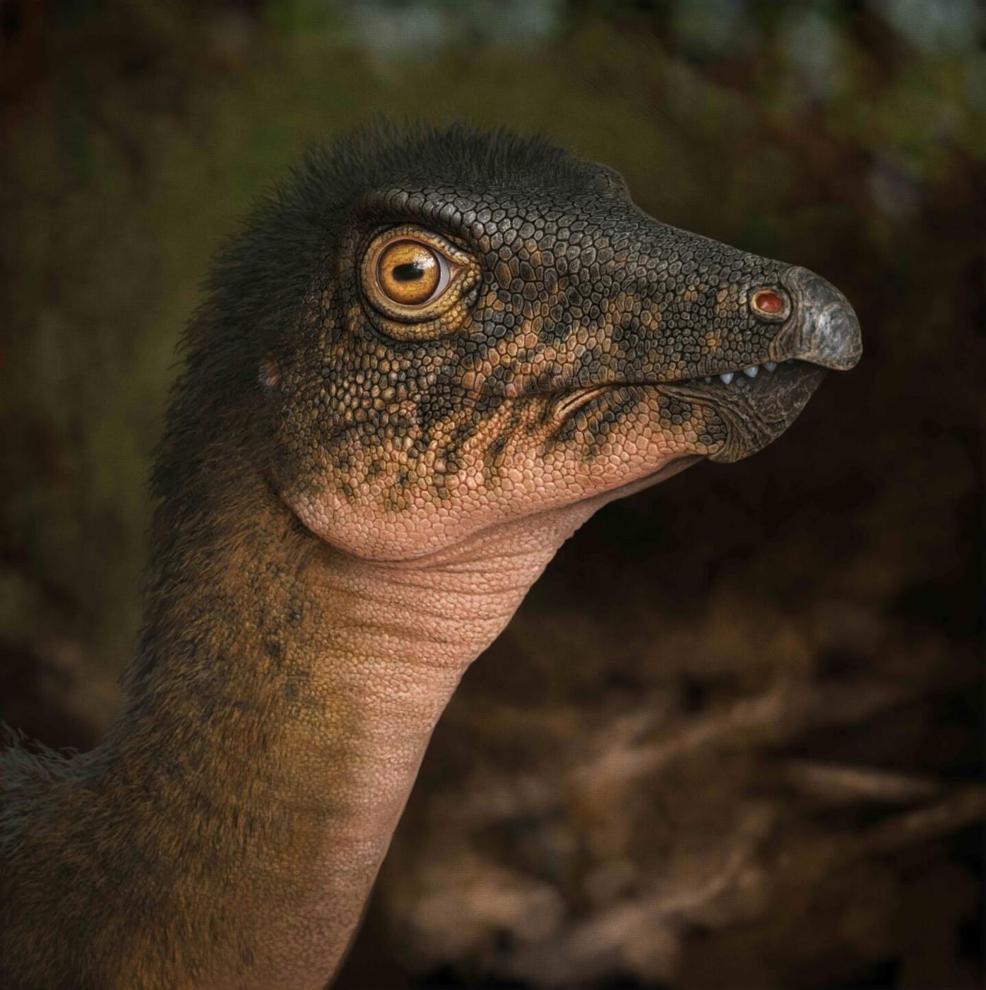 Thescelosaurus.jpeg