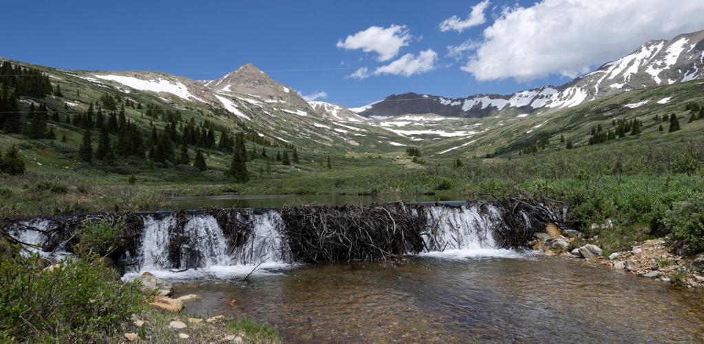 071325-life-hut-dg 9.jpg