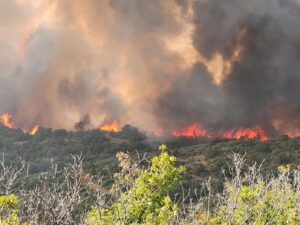 Black Canyon wildfire