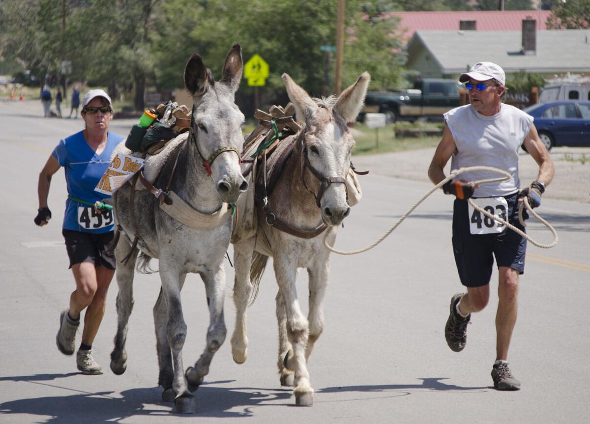 Burro racing in Buena Vista. Photo: chapin31 (iStock).