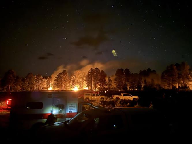 Turner Gulch, July 22