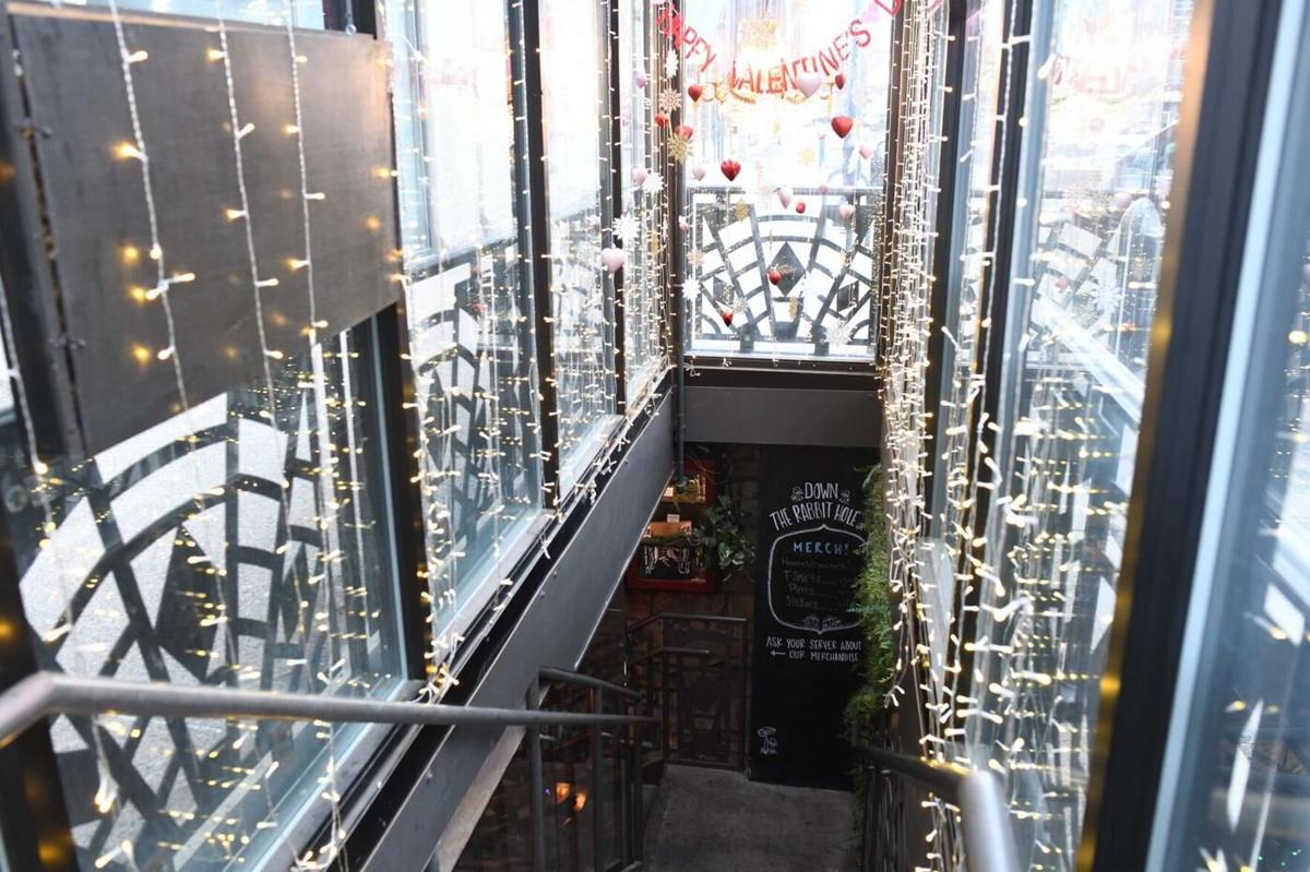 The Rabbit Hole. Photo Credit: The Gazette.