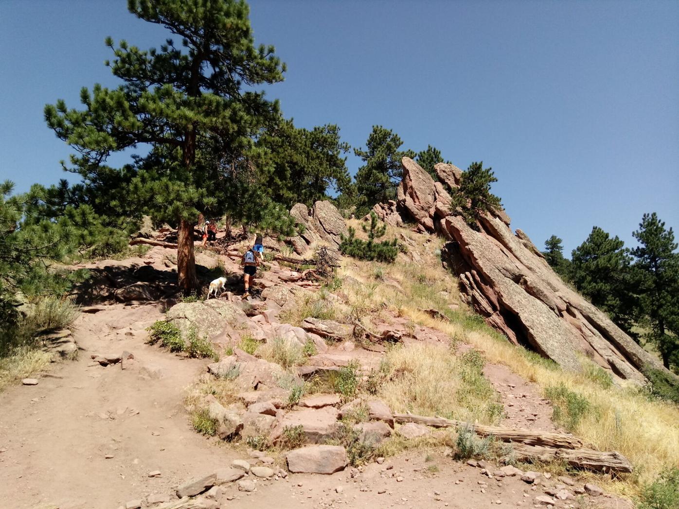 sanitas 1.jpg