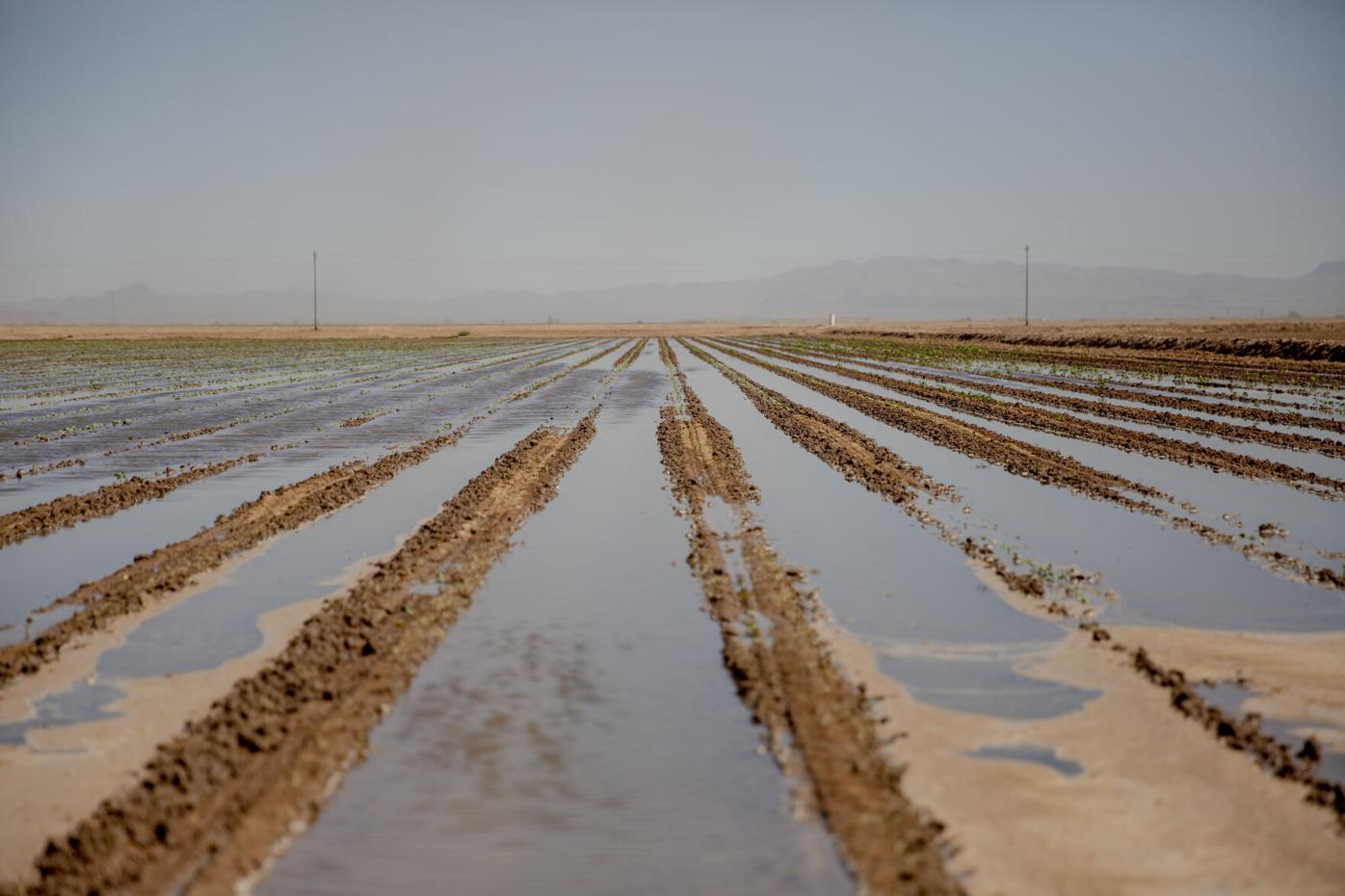 Native American tribes push for seat at Colorado water negotiations