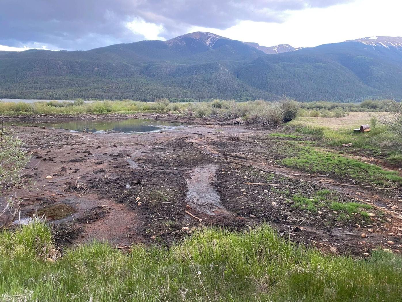 Barn Pond Dry.jpg