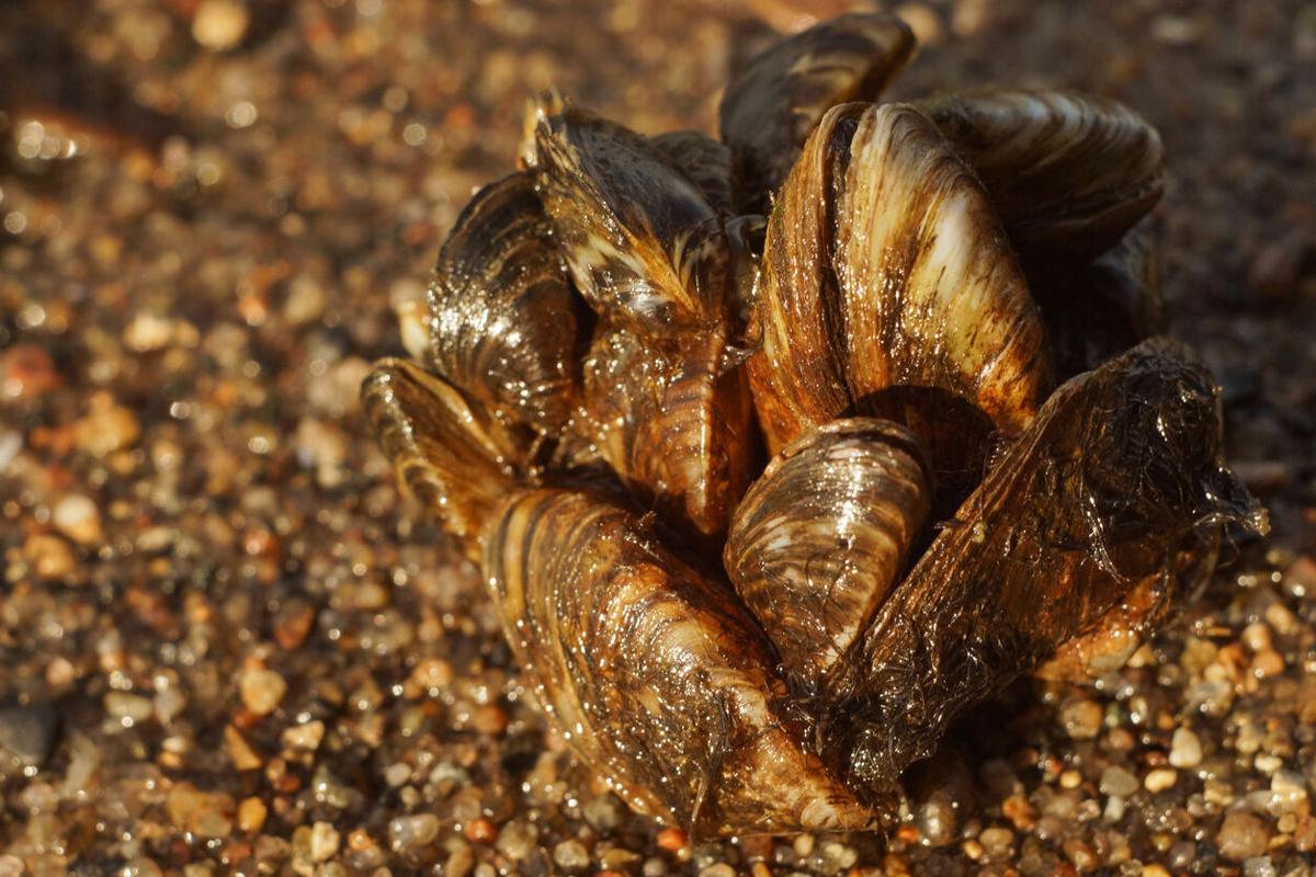 Photo Credit: Alexandr Pankov (iStock).