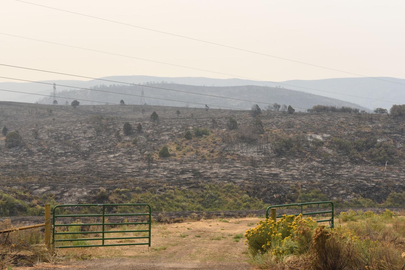 Large northwest Colorado wildfire continues improving on containment