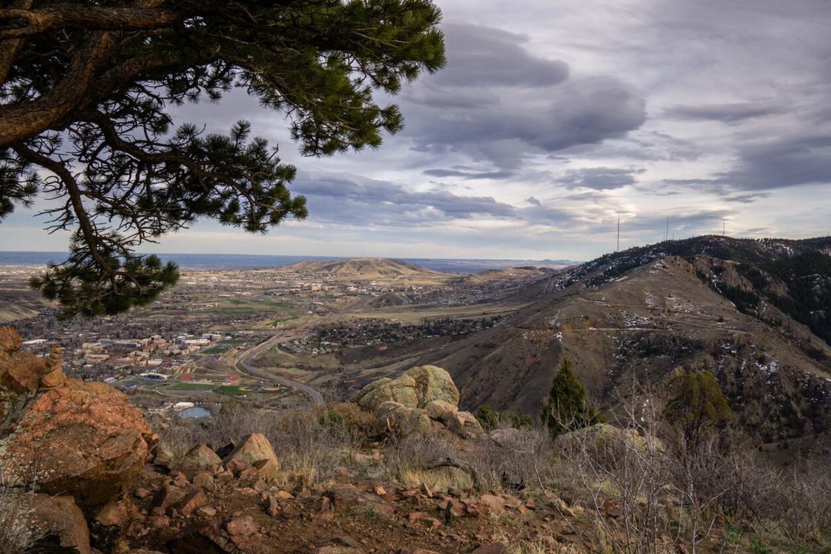 Mount Galbraith Park reopens after being closed due to fire