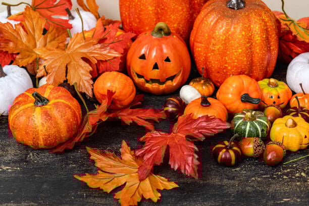 Halloween events and fall festivals in Denver and surrounding areas