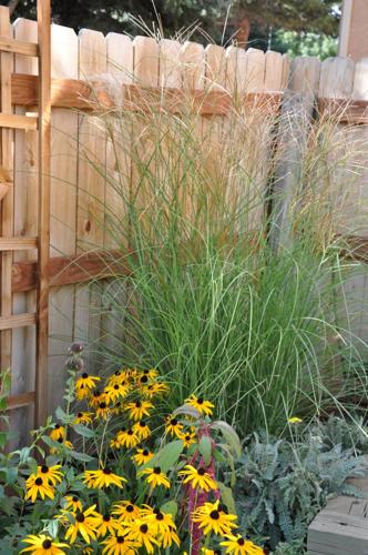 Year-round gardening: Autumn in Colorado should be a busy time for gardeners