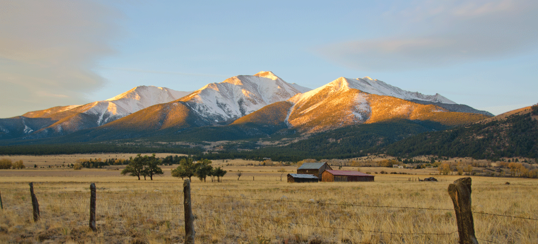 Buena Vista
