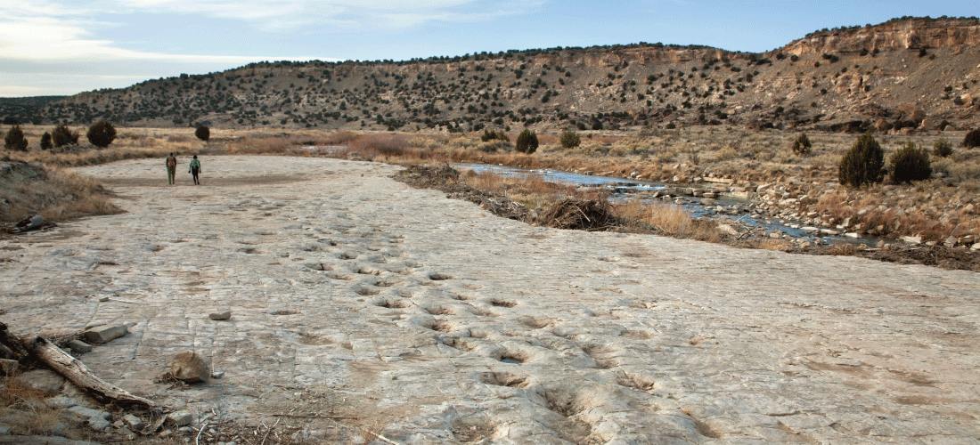 La Junta