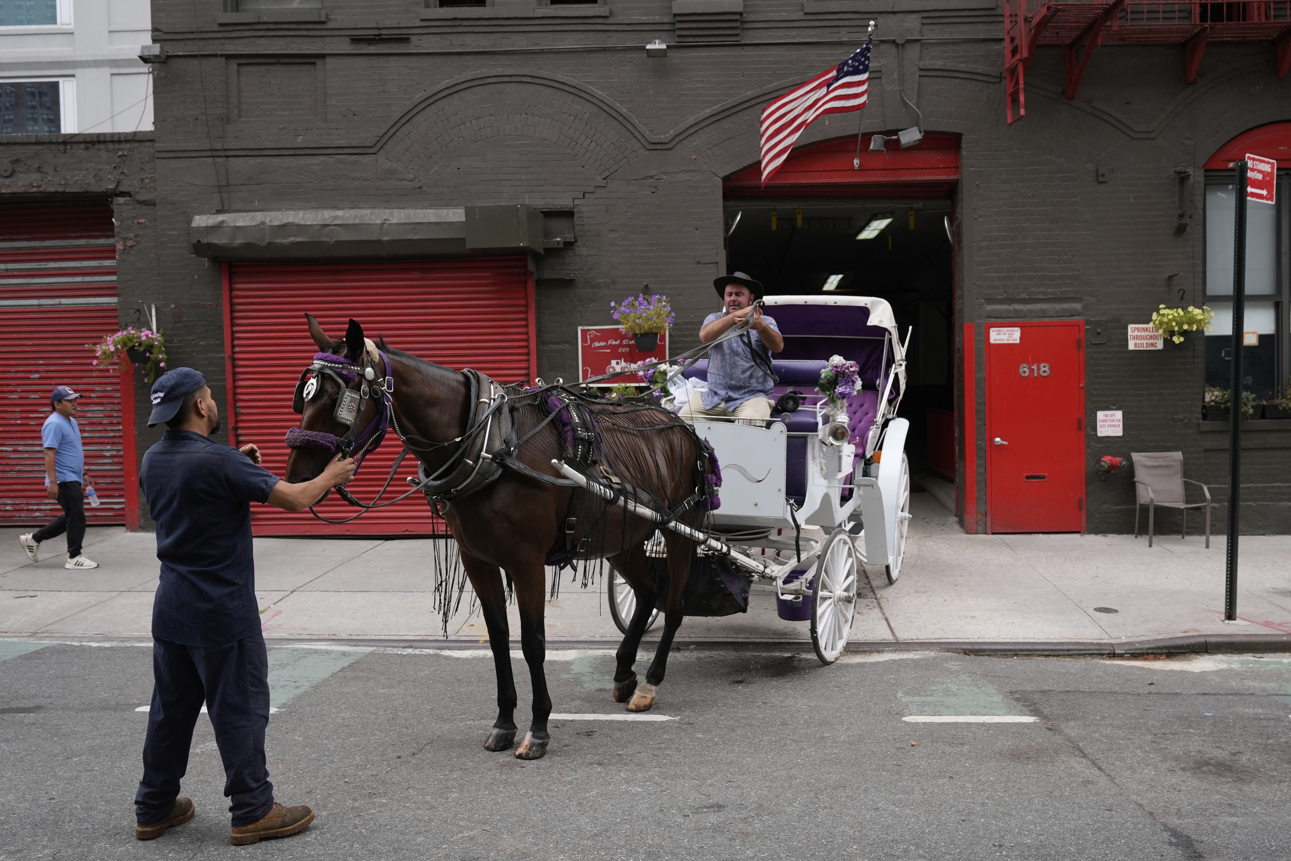 Driver Emre Akyuz, right, and stablehand Roen Galvez, second from left, lead Jersey out of the the Clinton Park Stables in New York, Monday, Aug. 18, 2025. (Seth Wenig - AP)