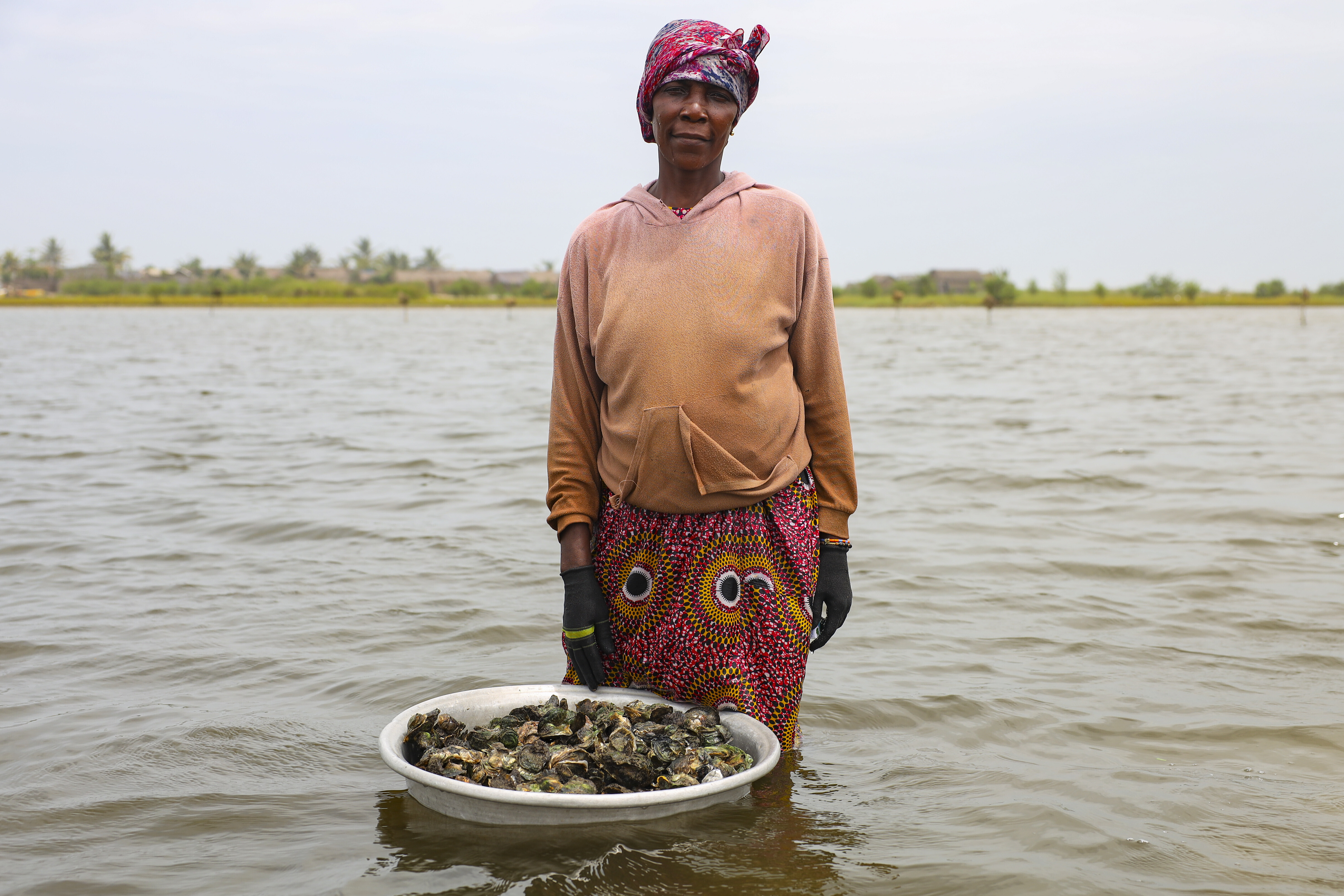 Photos show Ghana’s female oyster farmers sustaining a generational practice