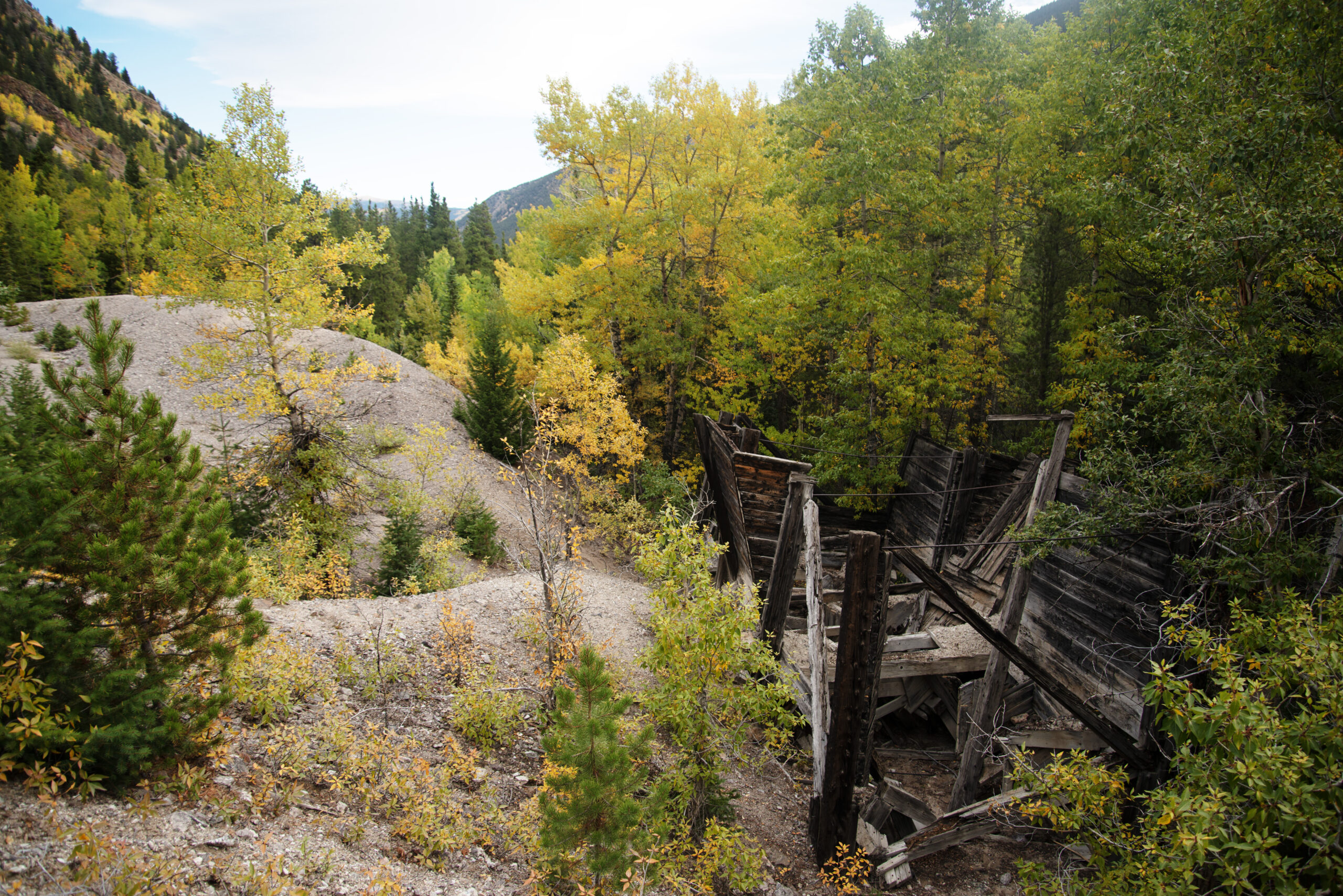 Peak leaf peeping season begins in Colorado: Here’s what to know, and how to locate your towed vehicle off  Guanella Pass