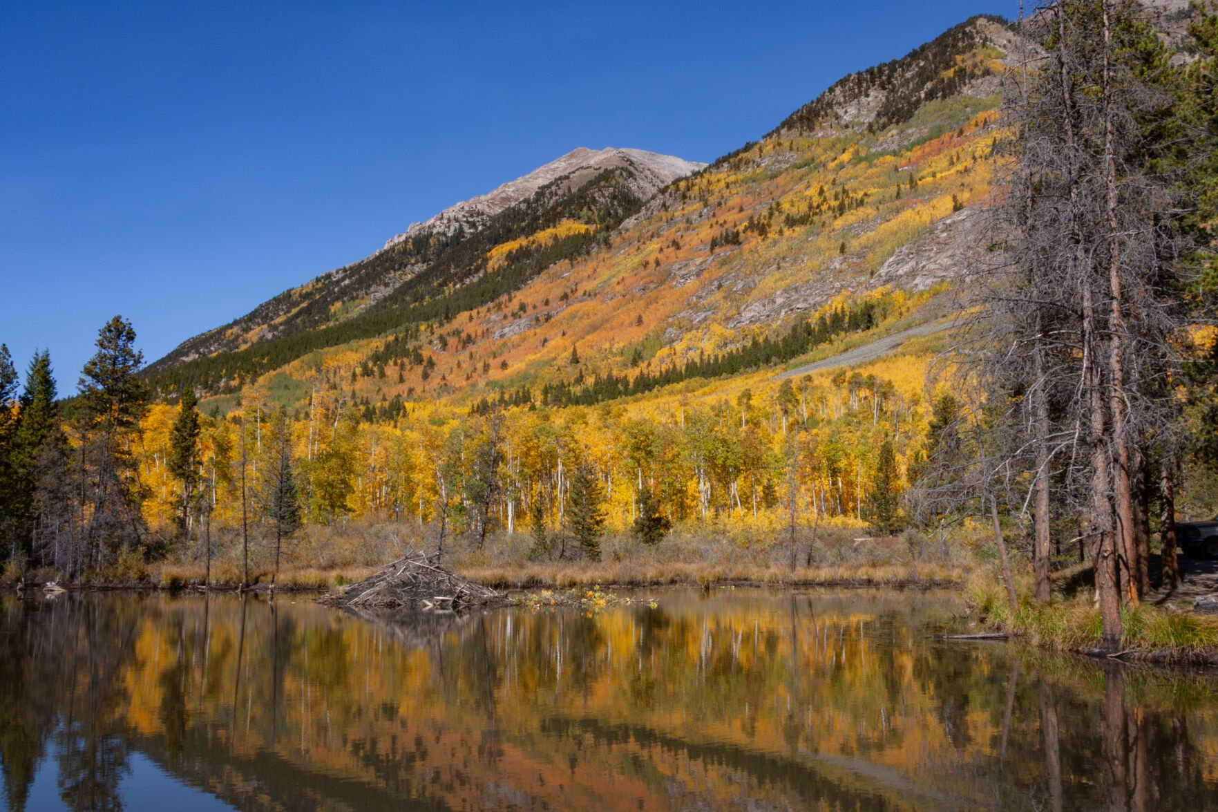 Aspens reflect atop water amid the Collegiate Peaks. Michael J. Pach, 3 Peaks Photography and Design (Michael J. Pach)