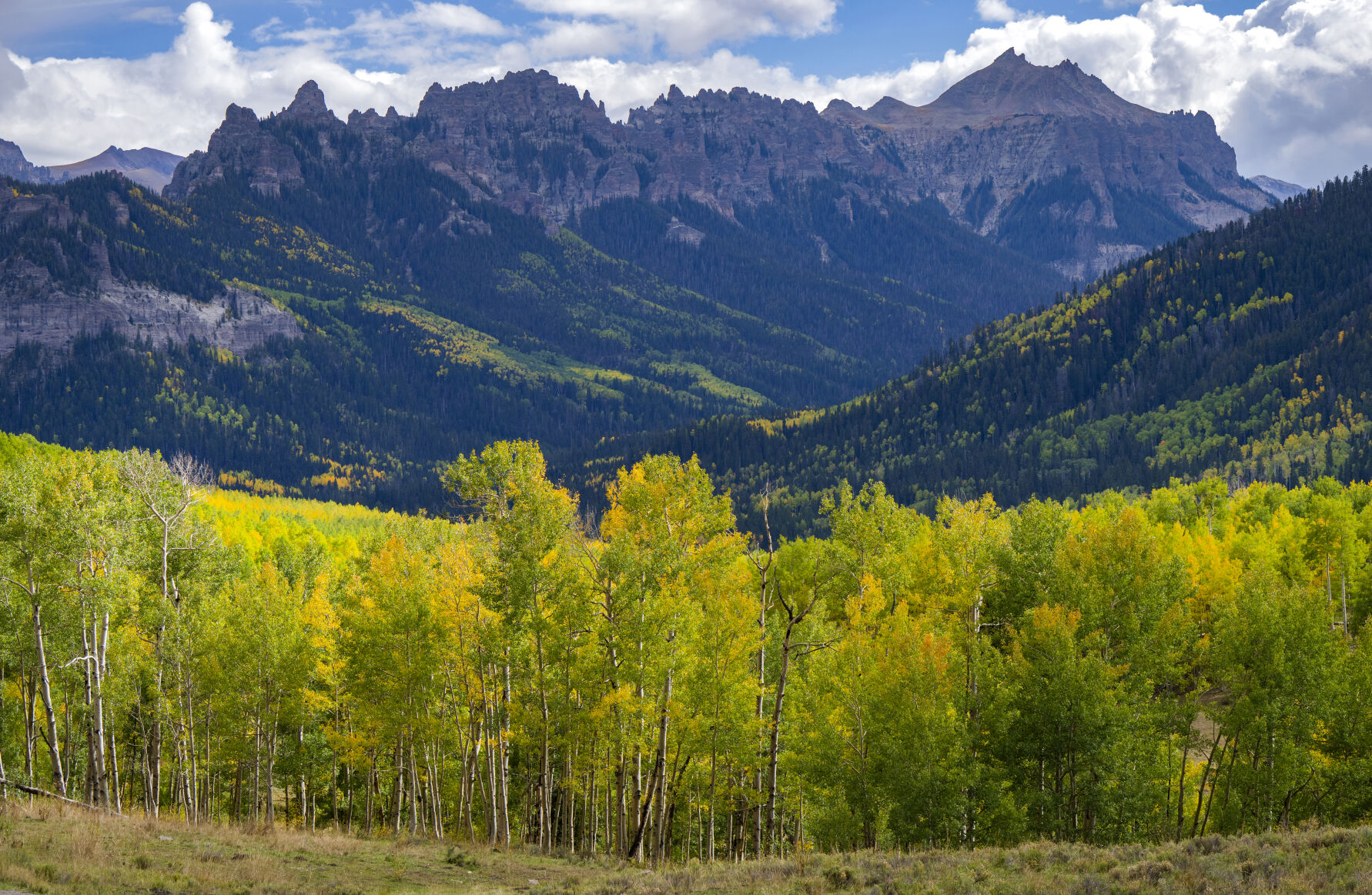 Aspens turn on the east side of Owl Creek Pass in the San Juan Mountains Wednesday, Sept. 28, 2022. (The Gazette, Christian Murdock) (Christian Murdock/The Gazette)