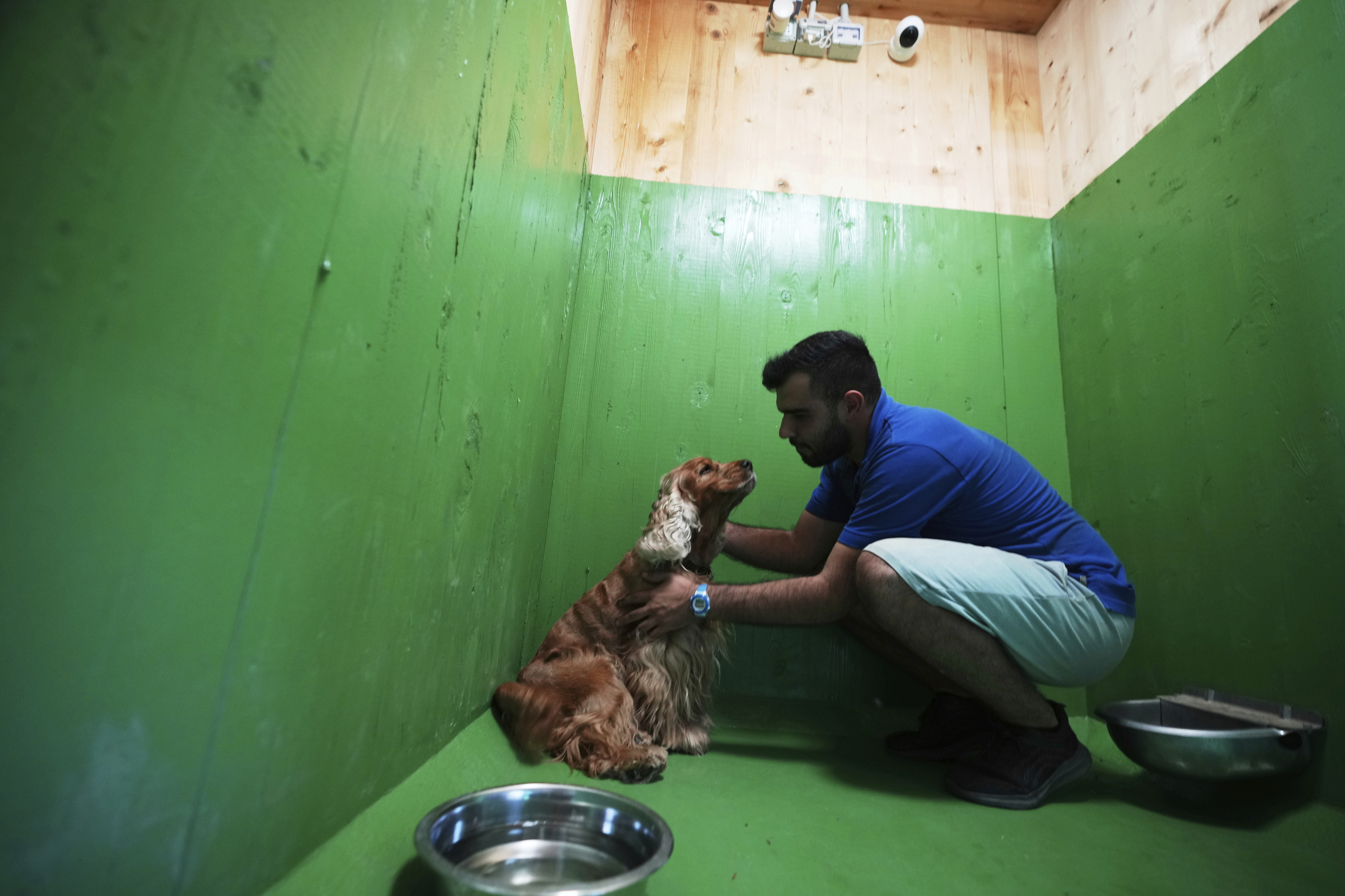 Manolo Fiorenzi, a dog trainer, caresses Otto, an old a cocker dog in one of the rooms of the Dog Relais, a hotel for dogs at Rome's Fiumicino International Airport, Wednesday, Sept. 17, 2025. (Alessandra Tarantino - AP)