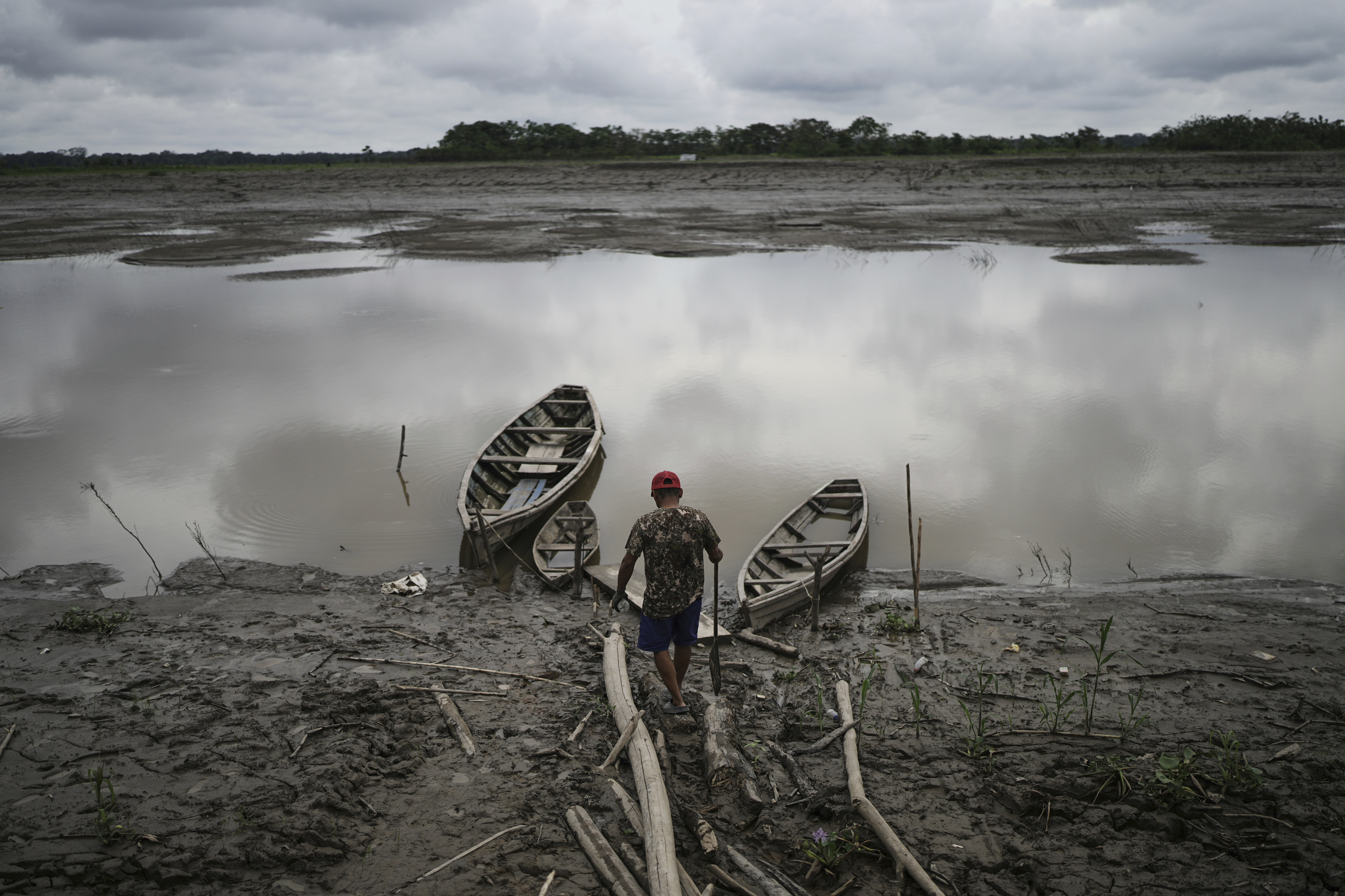 Well-preserved Amazon rainforest on Indigenous lands can protect people from diseases, study finds