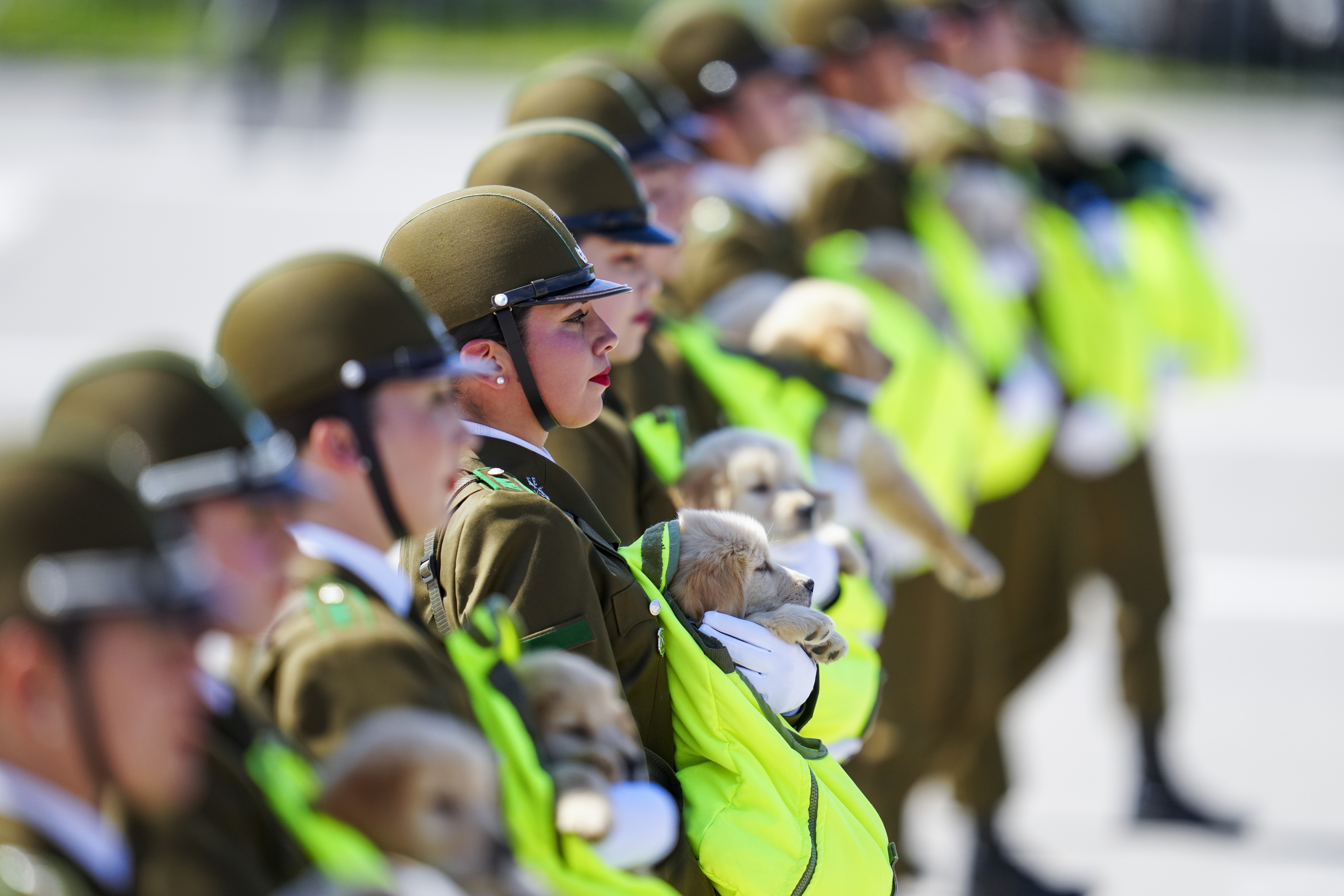 Chilean police carry puppies that will be trained as police dogs during a military parade on Army Day and Independence Day in Santiago, Chile, Friday, Sept. 19, 2025. (Esteban Felix - AP)