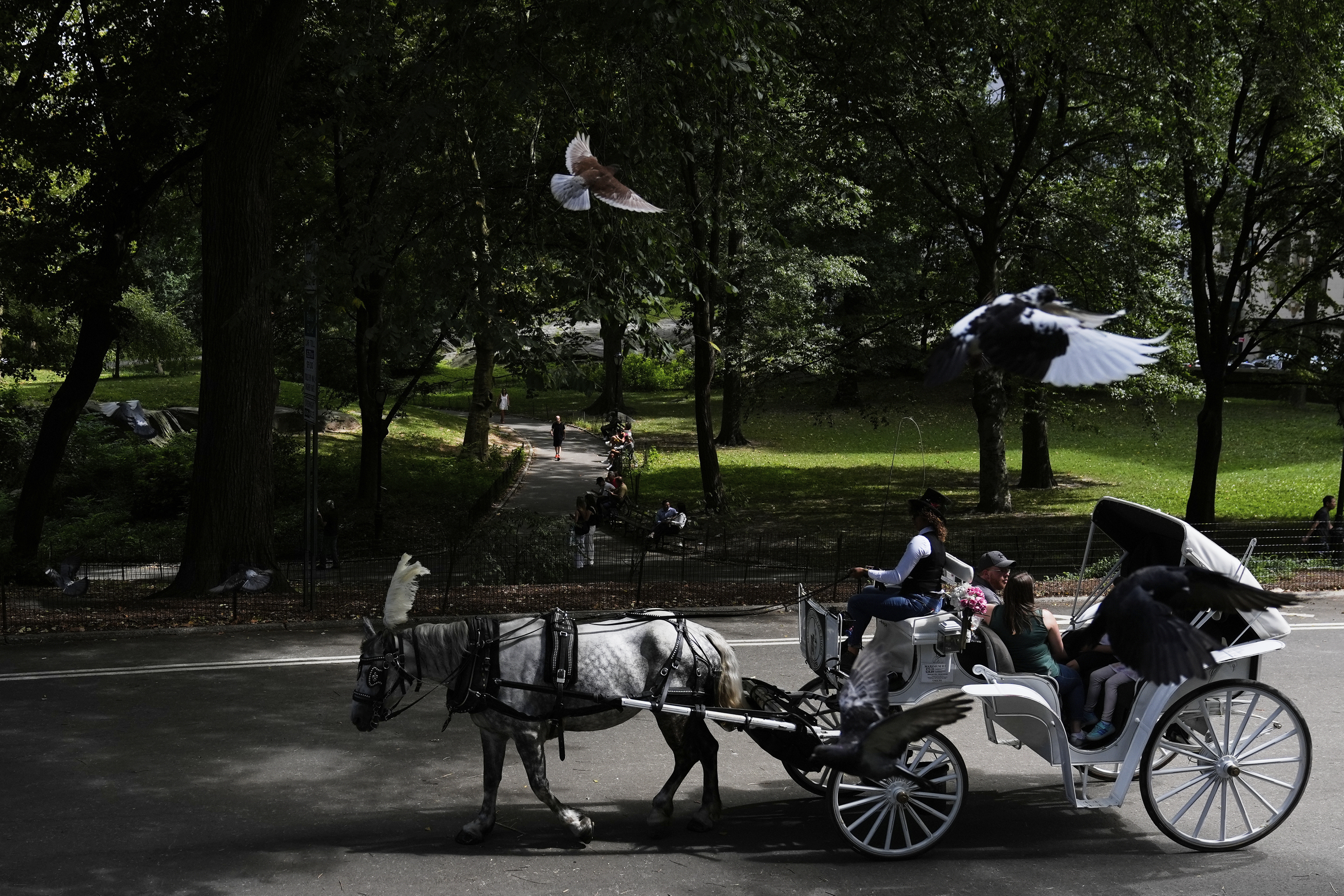 NYC mayor throws support behind bill to ban Central Park horse carriages