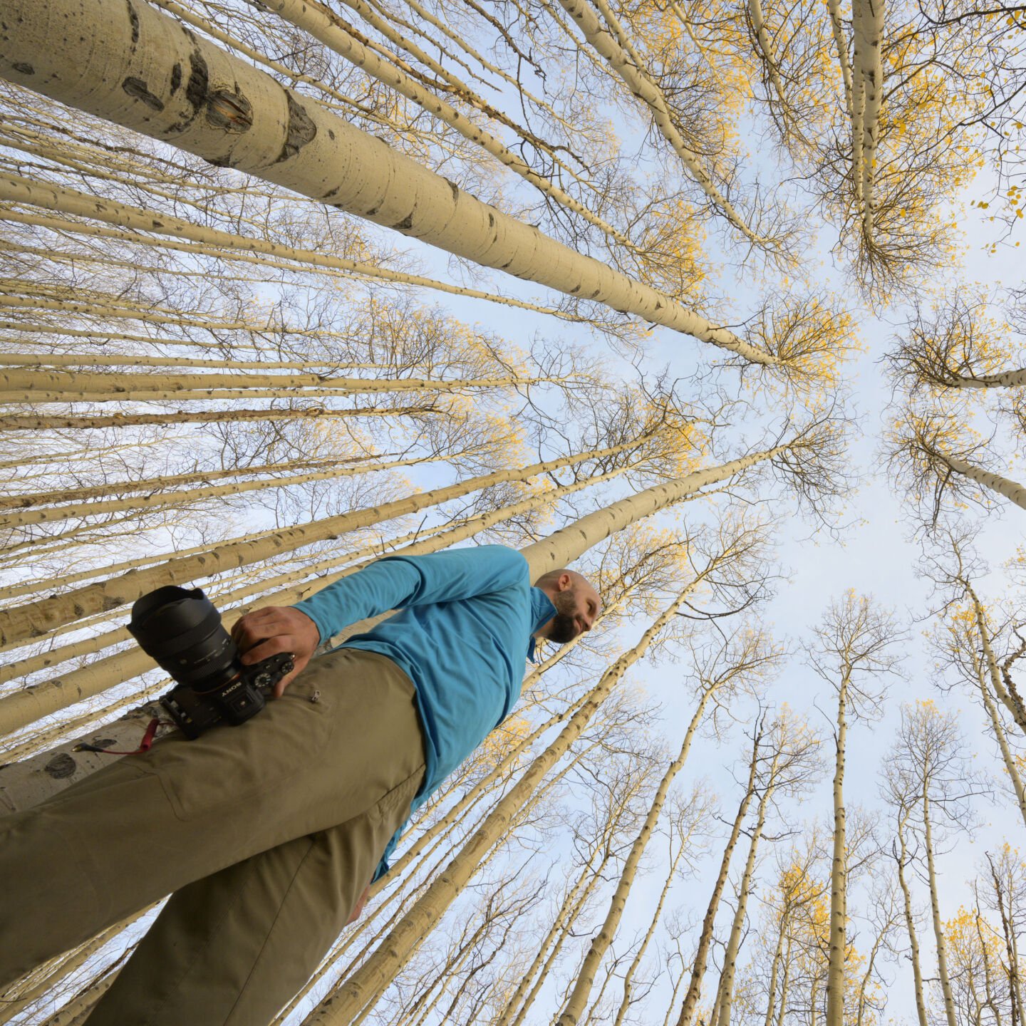 Photographer Matt Payne gazes upon tall aspens. Photo courtesy Matt Payne, mattpaynephotography.com
