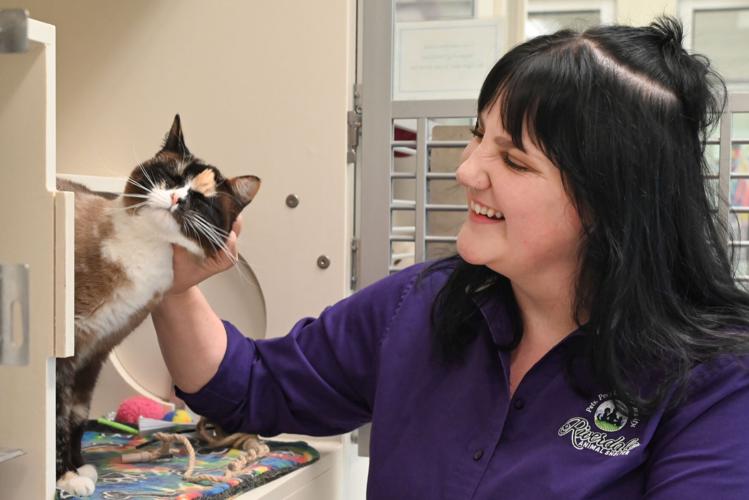 Riverdale Animal Shelter 1