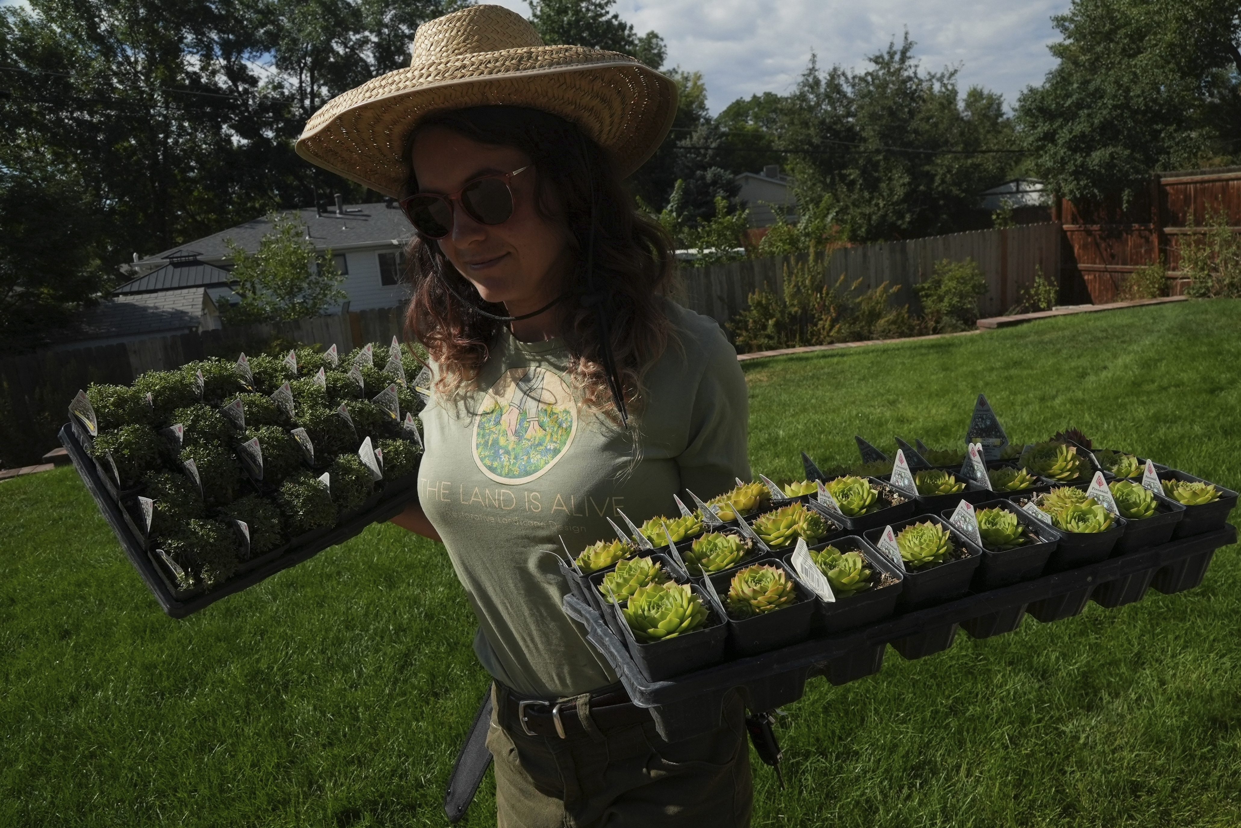 Move over, green lawns. Drier, warmer climate boosts interest in low-water landscaping