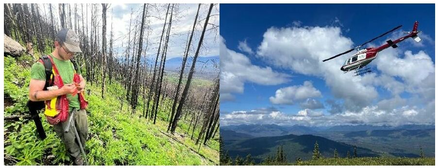 Grid Battery Announces the Completion of the First Phase of Its 2025 Fall Exploration Program for Its British Columbia Gold-Copper Property