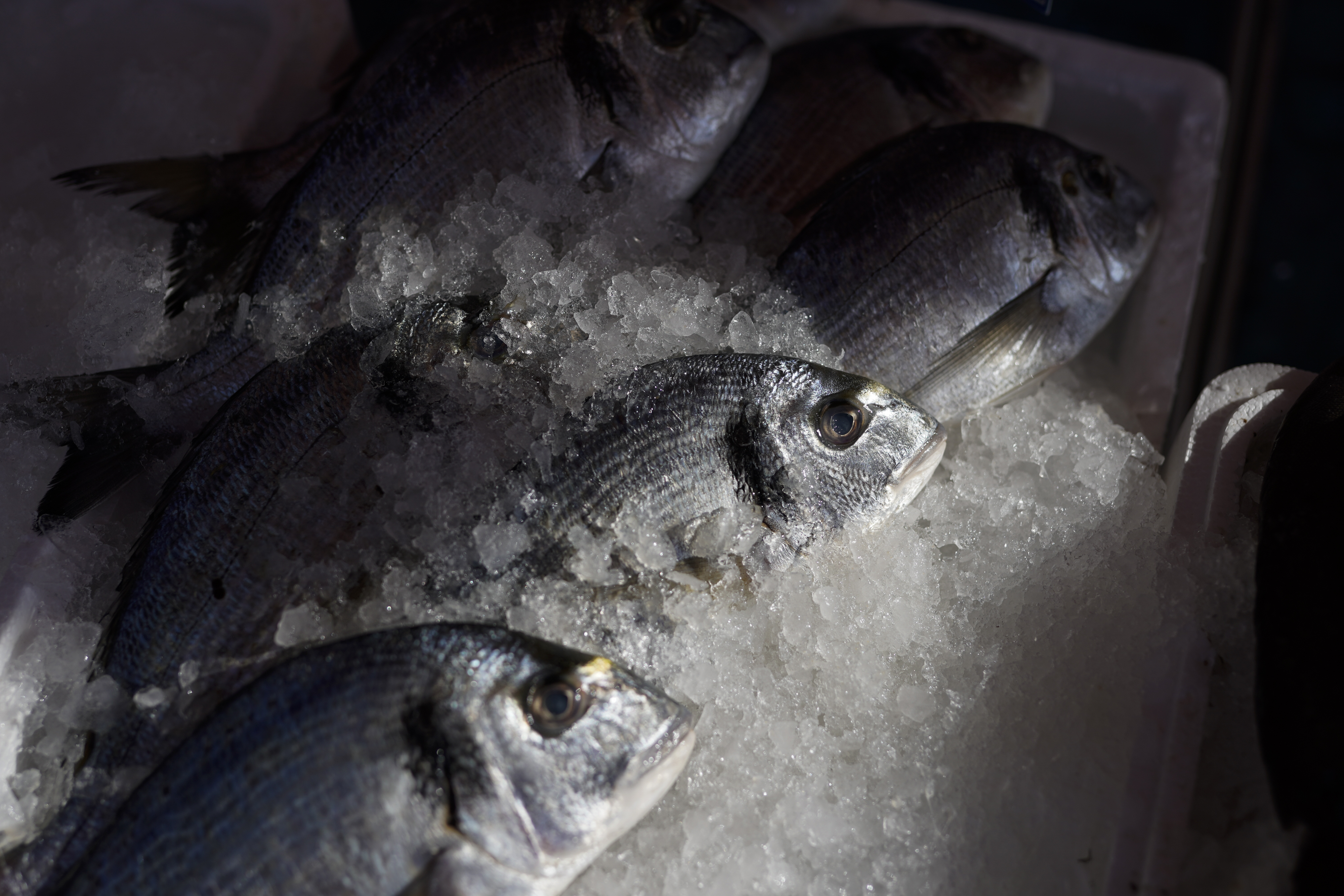 FILE - Fresh fish are packed in ice as they await purchase at a morning market in Nice, southern France, Friday, Feb. 11, 2022. (Daniel Cole - AP)