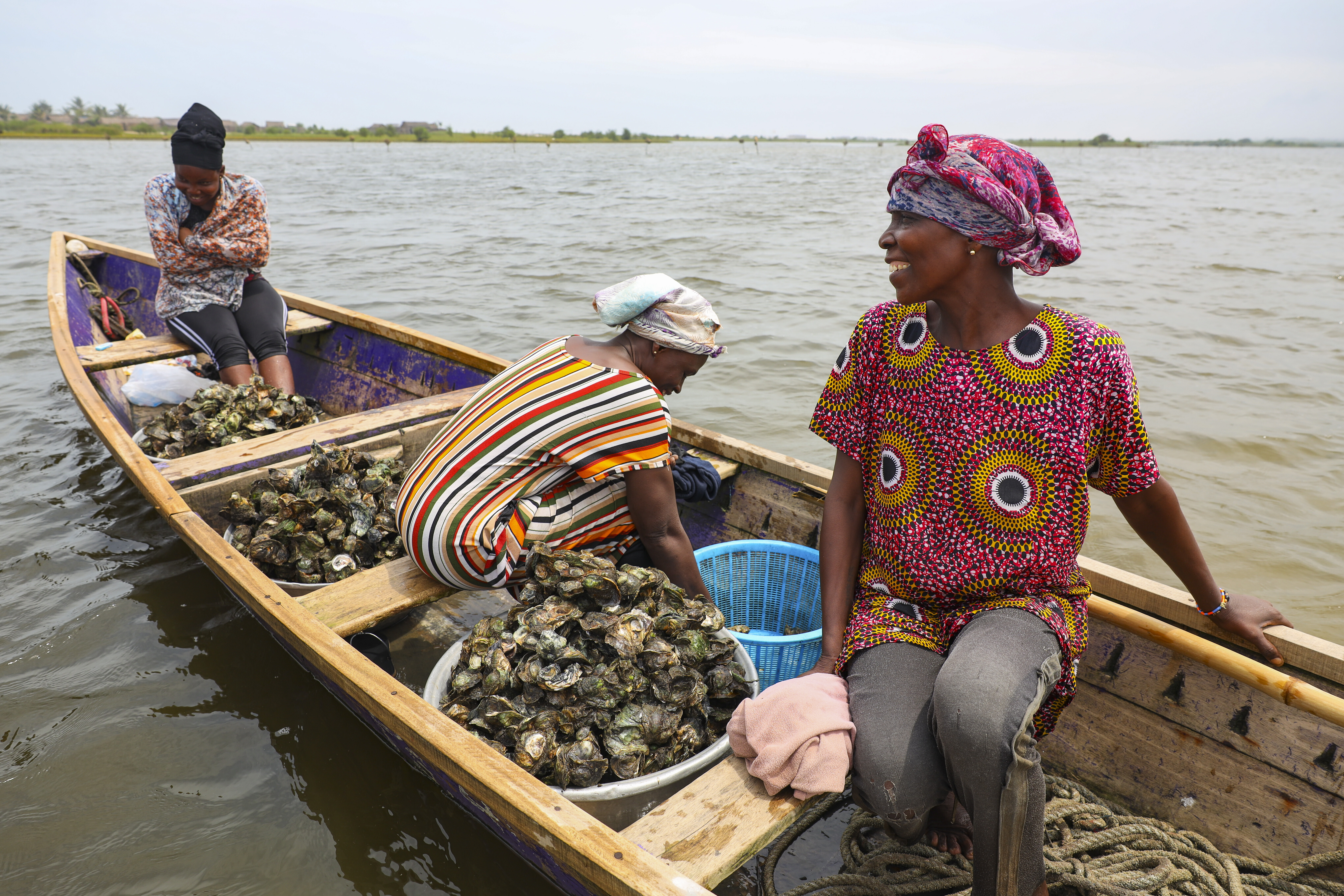 Women sit in a canoe filled with freshly harvested oysters in the Densu estuary at Tsokomey, Ghana, Aug. 6, 2025. (Misper Apawu - AP)