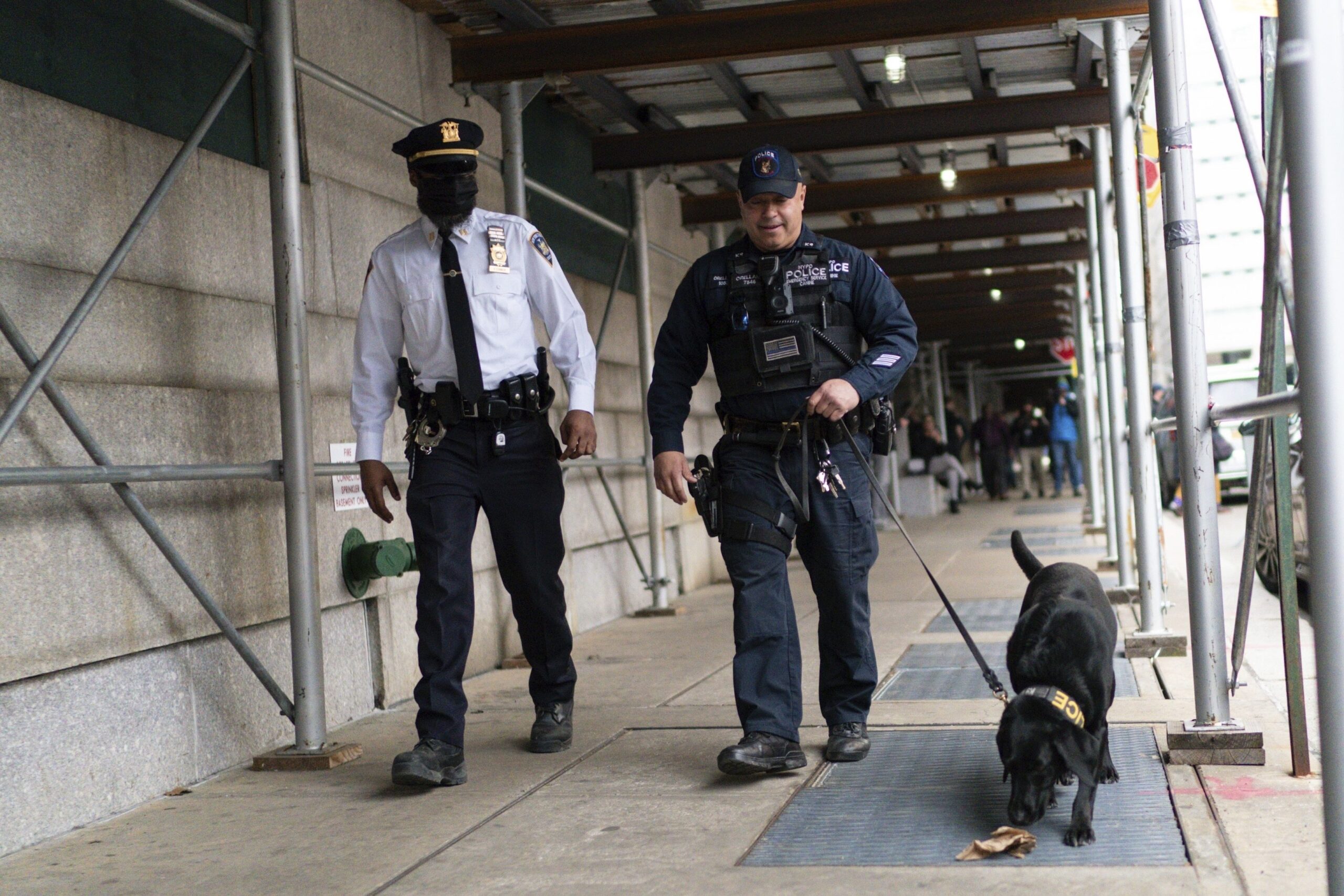 Denver Public Schools launches gun-sniffing canine program