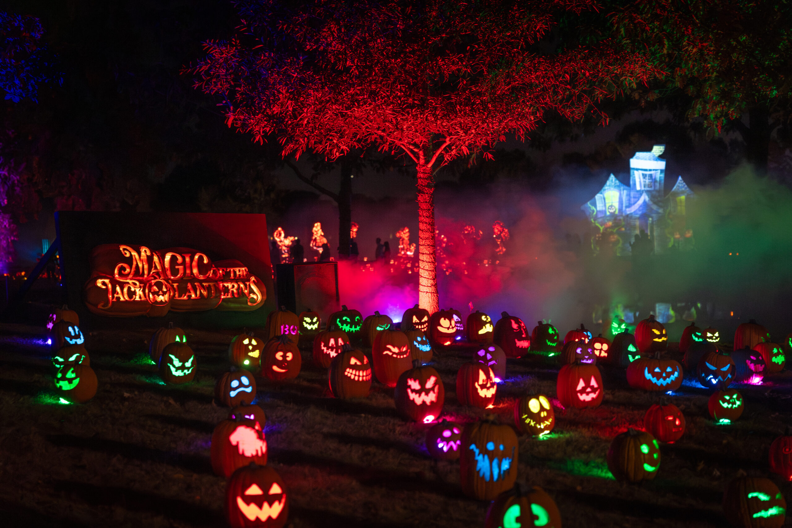 Hand-carved pumpkins illuminated at Hudson Gardens Magic of the Jack O’ Lanterns festival
