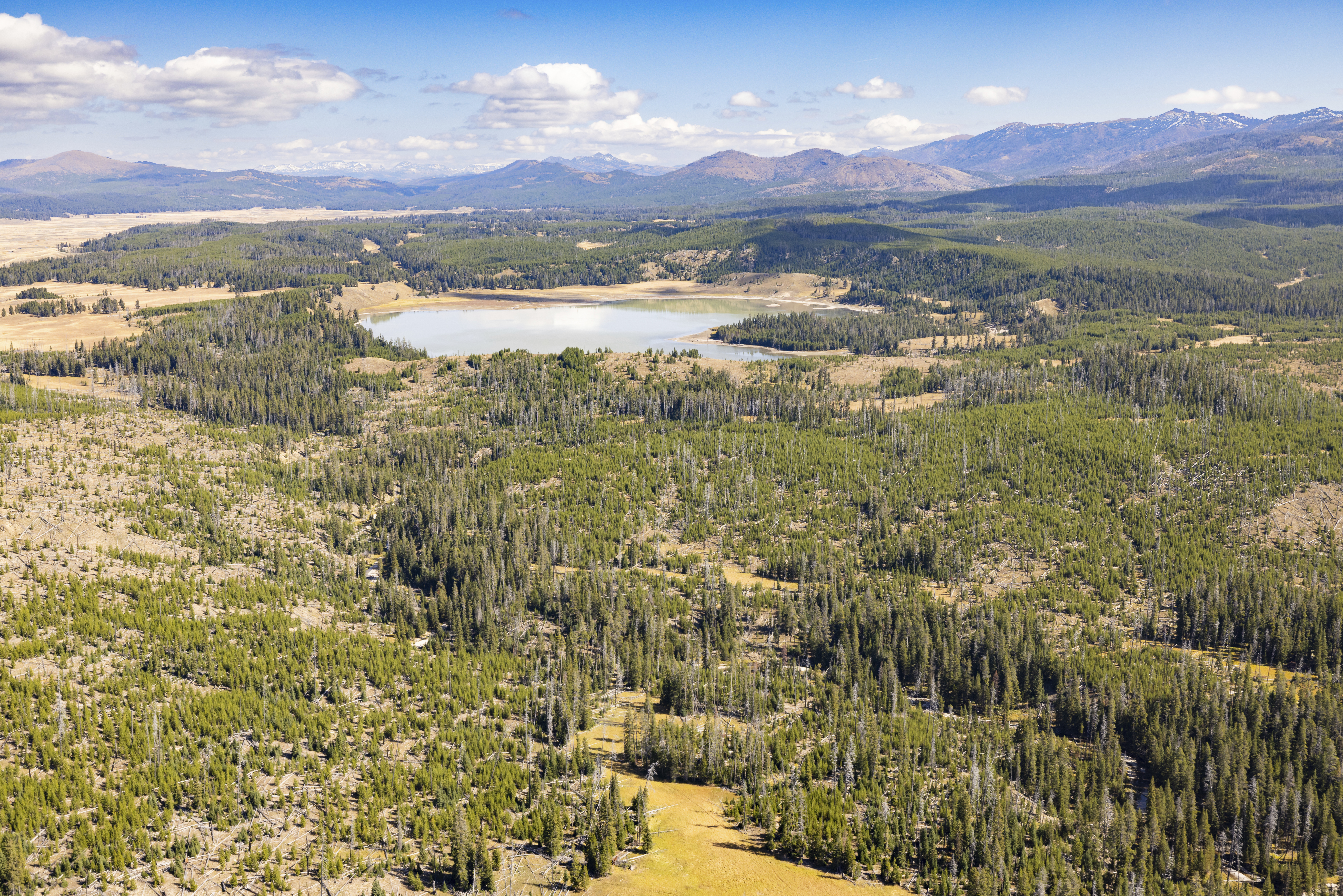 Bear attack on hiker closes trail in Yellowstone National Park