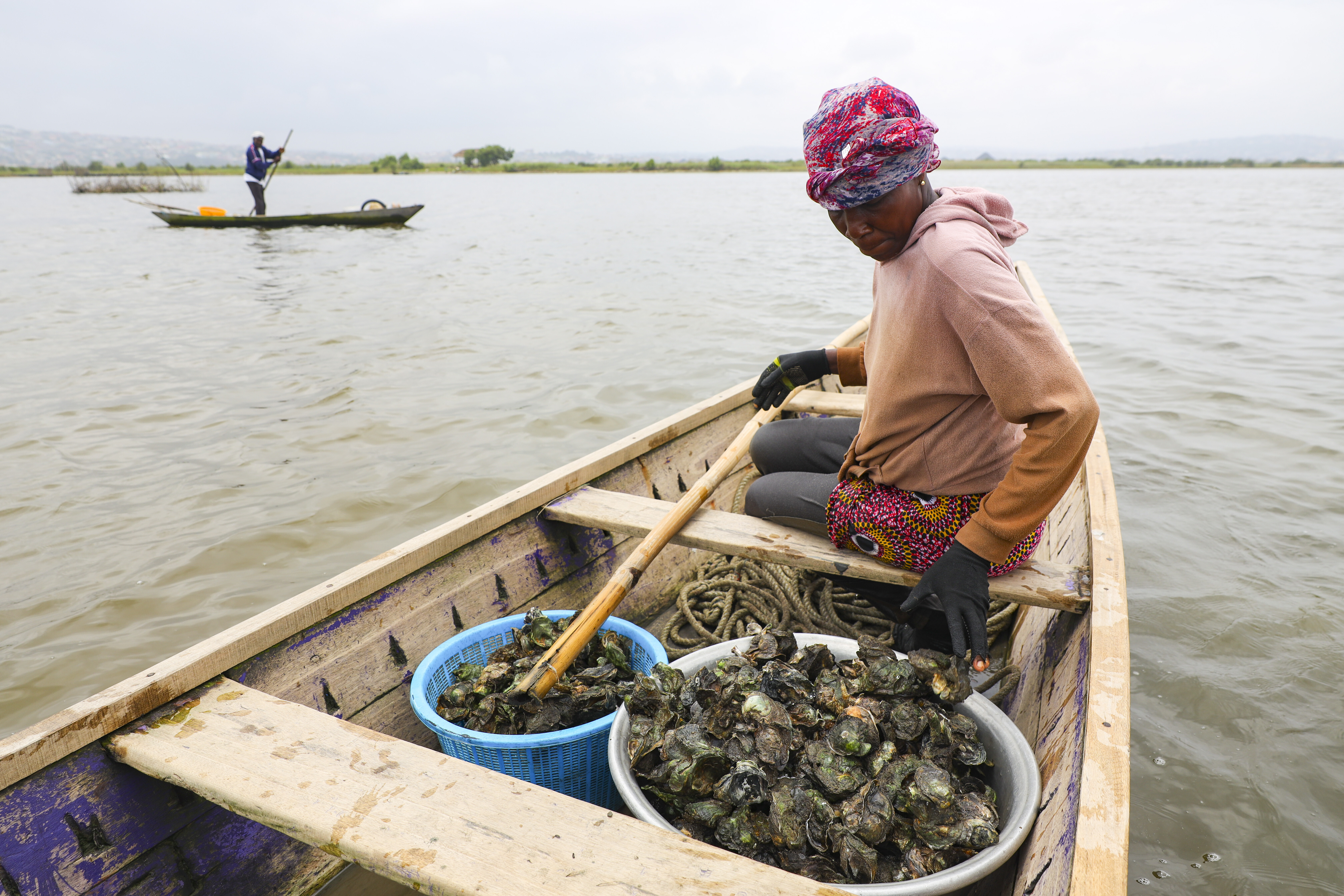 Beatrice Nutekpor sits in a canoe filled with freshly harvested oysters in the Densu estuary at Tsokomey, Ghana, Aug. 6, 2025. (Misper Apawu - AP)