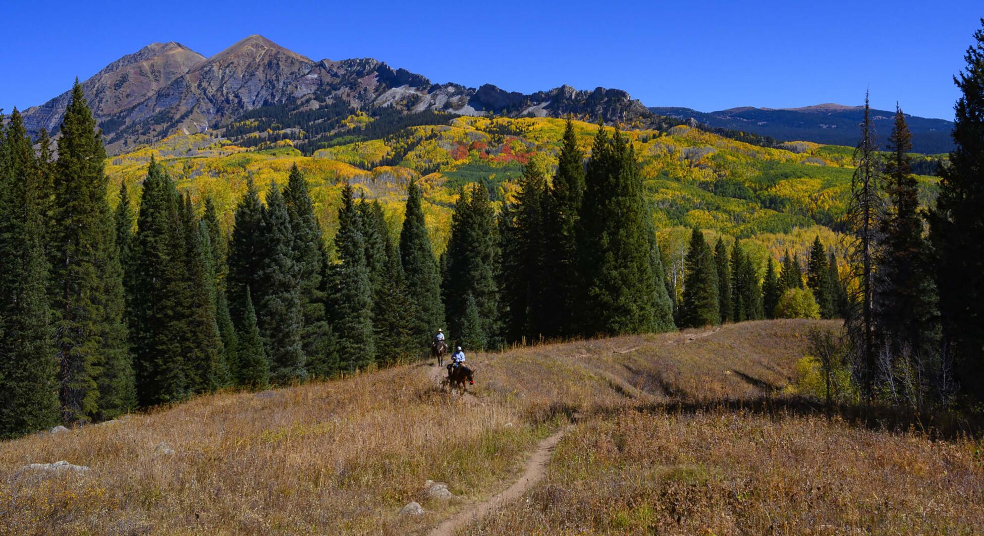 A pair of horseback riders makes their way toward Beckwith Pass on the Cliff Creek Trail as the aspens on Kebler Pass near Crested Butte, Colo., show a full palette of colors Sunday, Oct. 6, 2019. The Colorado mountain may turn white this week as snow is in the forecast. (The Gazette, Christian Murdock)