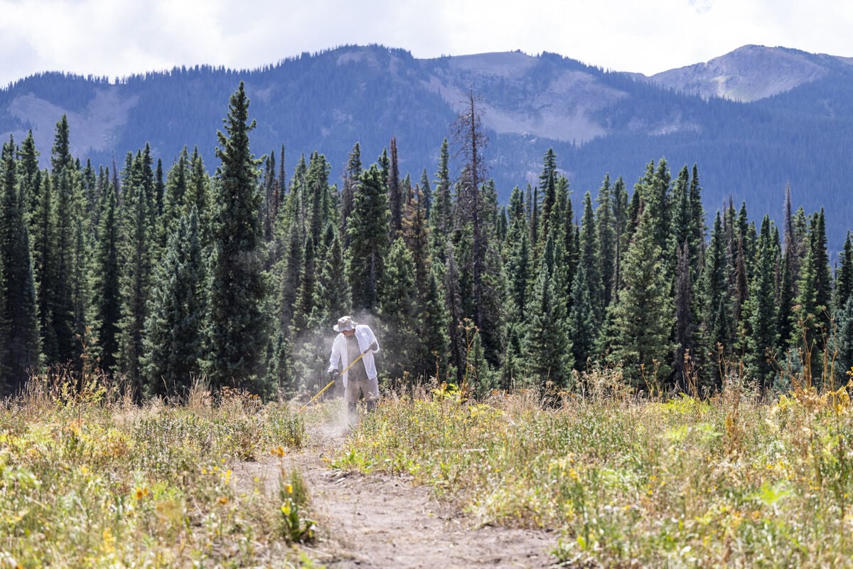 Volunteer builders recently finished a trail to Lake Irwin near Crested Butte. Photo courtesy Lucid Images