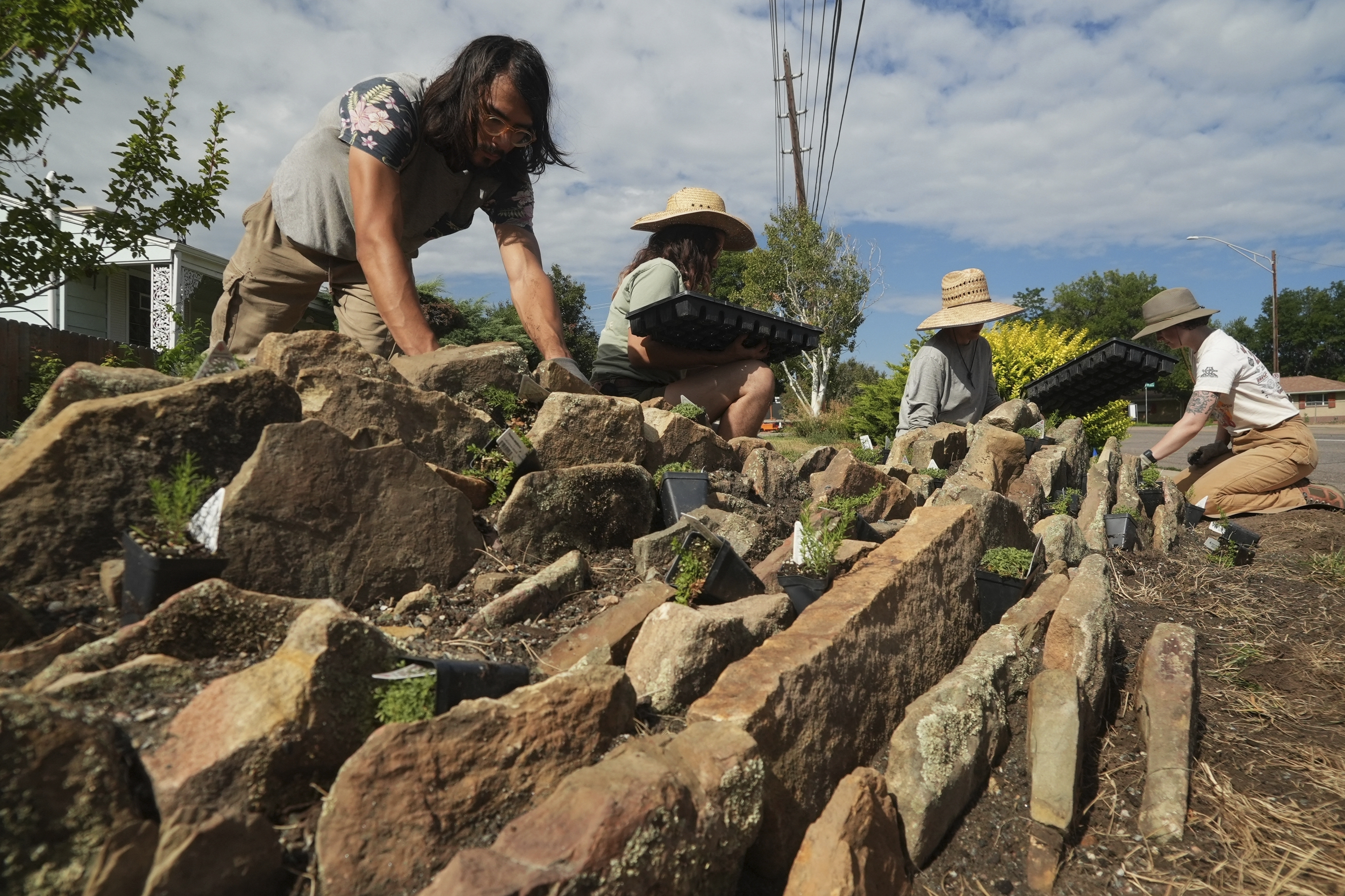 Greg Gorskiy plants a crevice garden Thursday, Aug. 28, 2025, in Littleton, Colo. (Brittany Peterson - AP)
