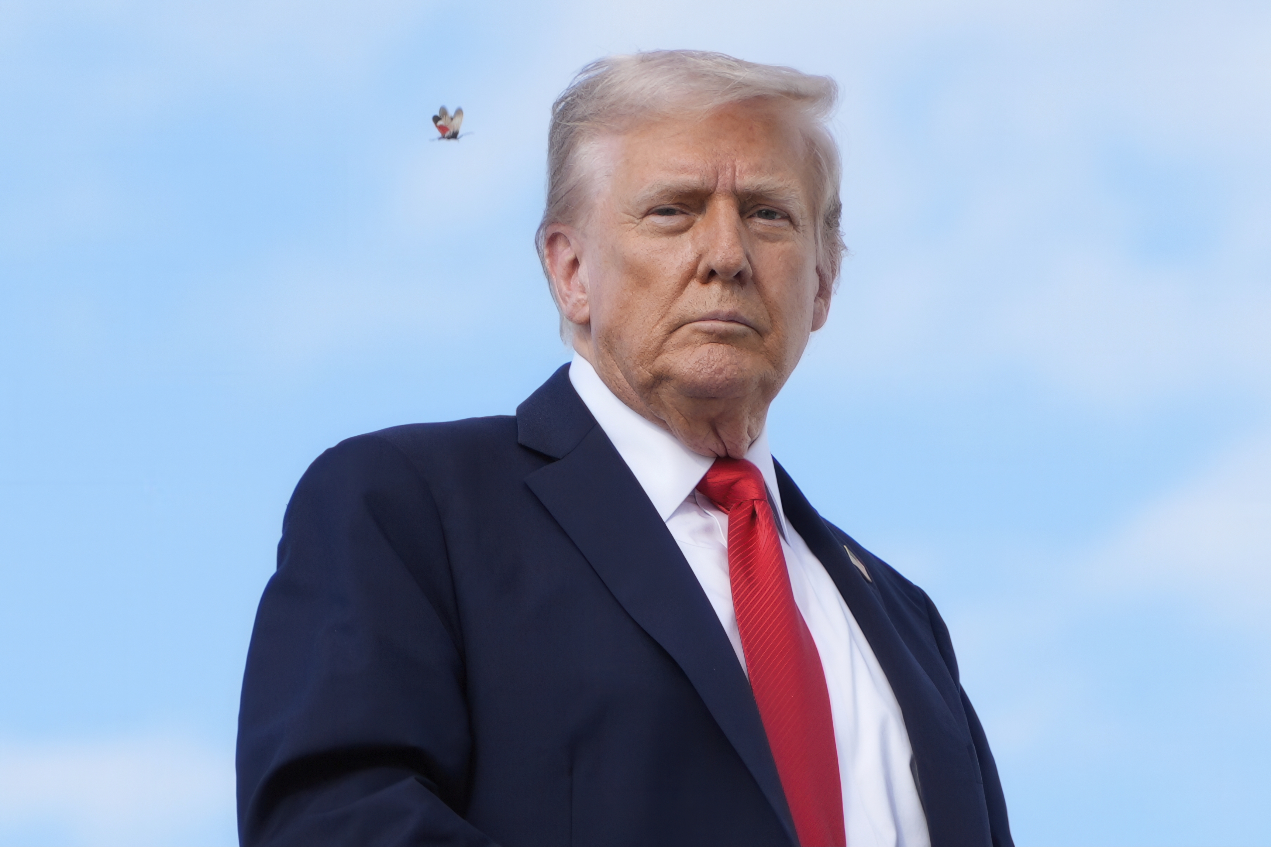 A spotted lanternfly flies past President Donald Trump as he boards Air Force One, Thursday, Sept. 11, 2025, at Joint Base Andrews, Md., to travel to New York. (Alex Brandon - AP)