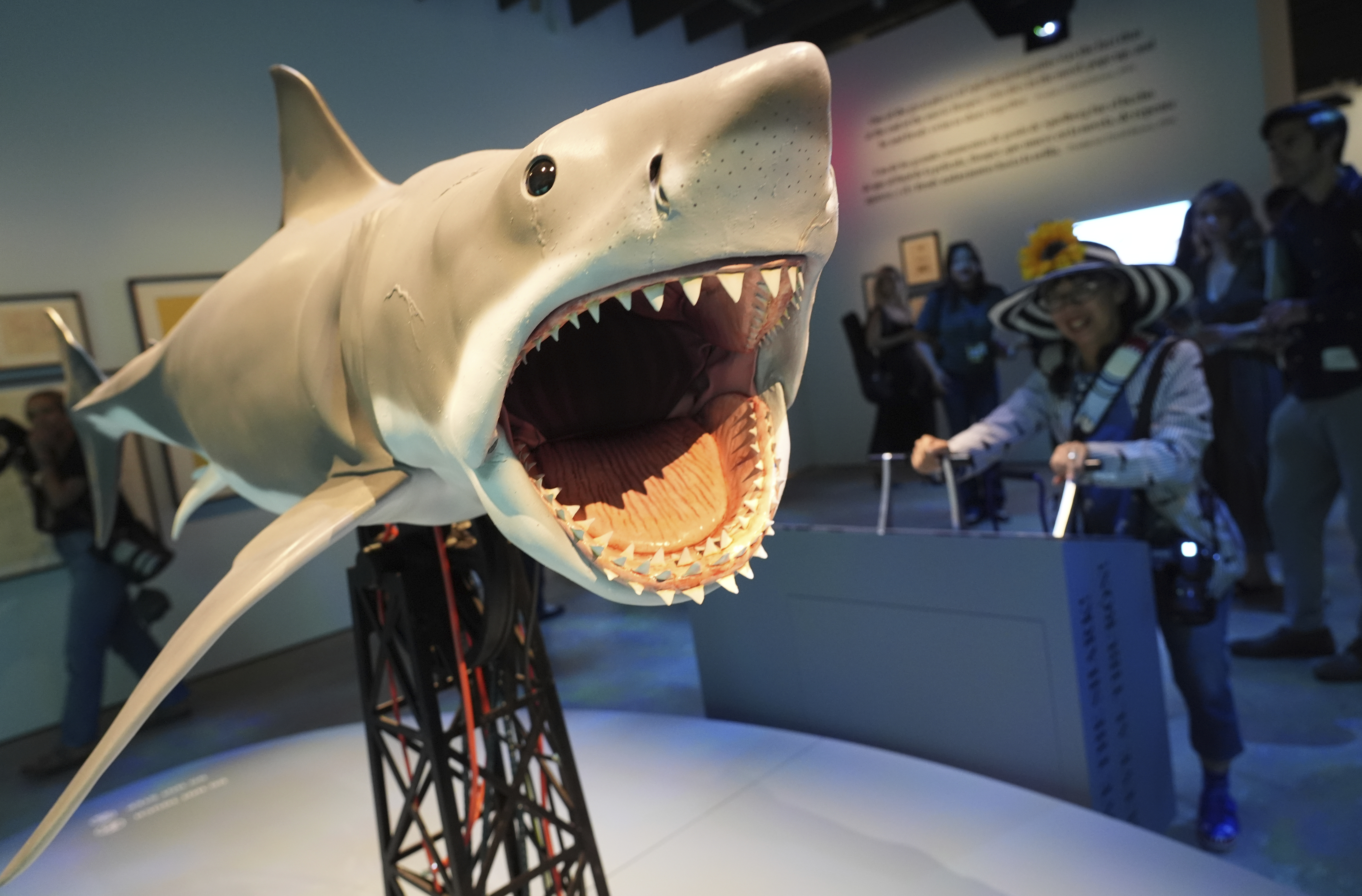 An interactive scale replica based on the shark from the 1975 film
