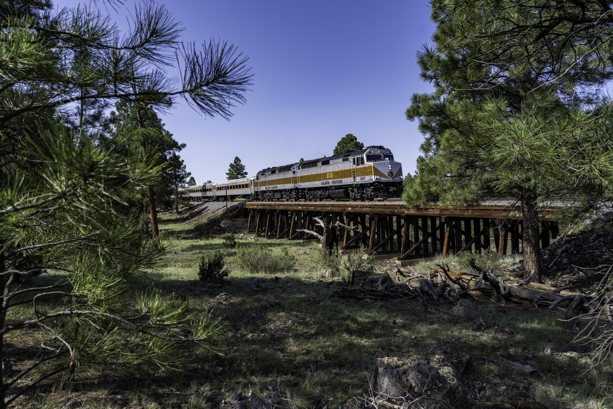 Next Stop? The Future